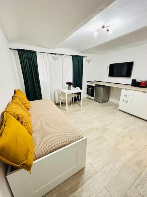 Apartament Urban Escape #12lunipebega Timişoara