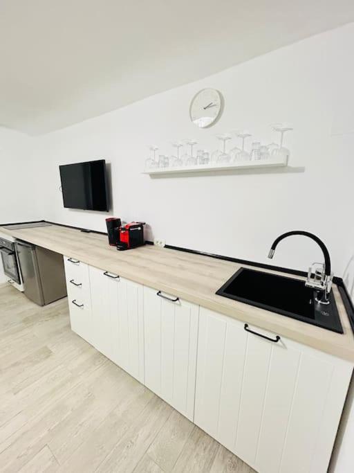 Apartament Urban Escape #12lunipebega Timişoara