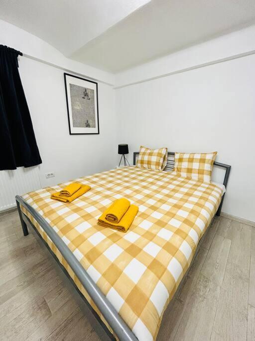 Urban Escape #12lunipebega Apartament Timişoara